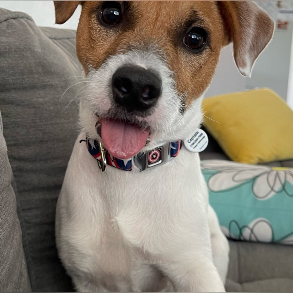 Live with Betty 400-499 Like This Listing! 0-00-00